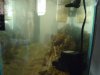 dirty water_2.JPG