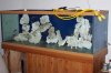 new 180 rock work 018.JPG