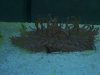 100_0579new.jpg