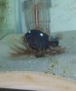 100_0583new.jpg