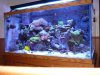 Fish Tank 004.jpg