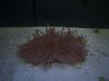 100_0581new.jpg