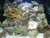 DSC00979.jpg