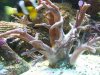 100_0877 small.JPG