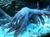 100_0879.jpg