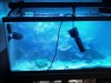 Tank 1.jpg