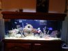 DSC02227.jpg