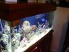 DSC02225.jpg