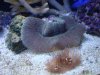 DSC02216.jpg