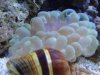 DSC02213.jpg