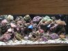Salt Tank 8-31-08 b.jpg