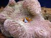 ImageUploadedByTapatalk1368832640.714411.jpg