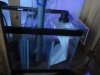 DSC00595.JPG