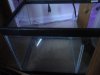 DSC00596.JPG