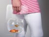 China_Portable_Spherical_Fish_Tank_Bowl2012515242311.jpg