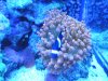 DSCN3263.JPG