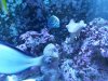 20140514_091755.jpg