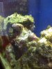 IMG_0014.jpg
