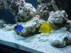 DSC00482.jpg