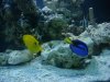 DSC00486.jpg