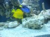 DSC00487.jpg
