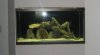 Tank2.jpg