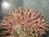birdnest 004.jpg