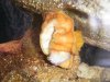 2008_1027fishtank0024.JPG