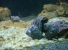 DSC00510.jpg