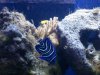 DSC04374-b.jpg