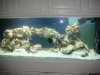DSC00513.jpg