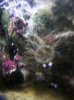 100_3776.jpg