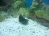 DSC00522.jpg
