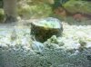 DSC00530.JPG