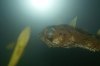 DSC03155.JPG