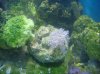 DSC00538.JPG