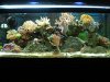 full tank 1.jpg