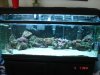 DSC01431.jpg