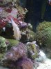 IMG_0239.jpg