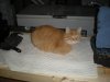 DSCN0312.JPG