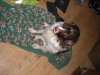 DSCN0313.JPG