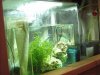 sump 005.JPG