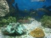 DSC00542.JPG