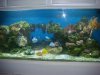 DSC00553.JPG