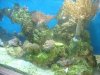 DSC00554.JPG