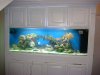 DSC00551.JPG
