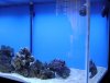 DSC00264.JPG