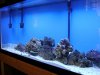 DSC00265.JPG