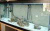 DSC00257.JPG
