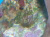 DSCN0328.JPG